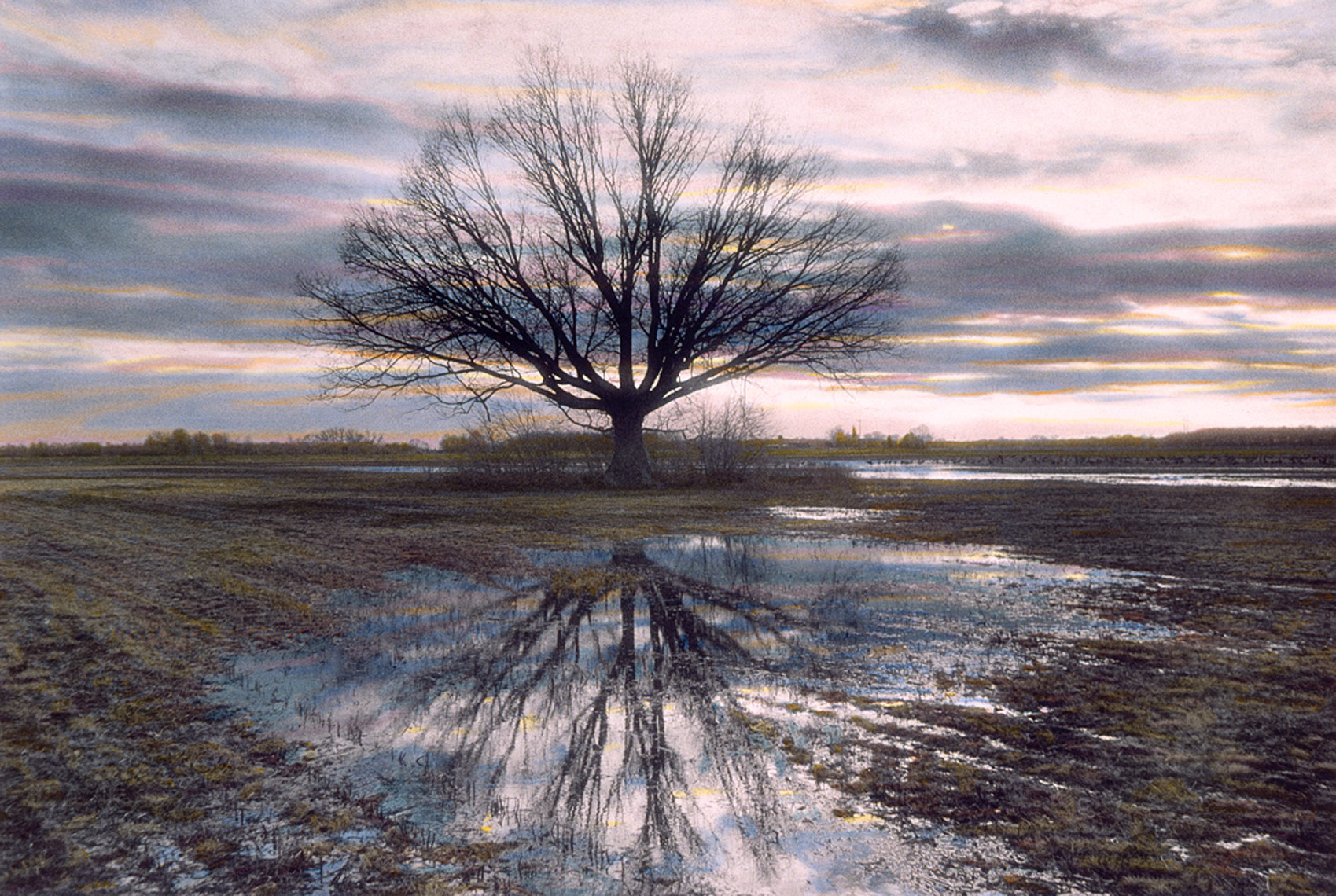 Tree Reflecting